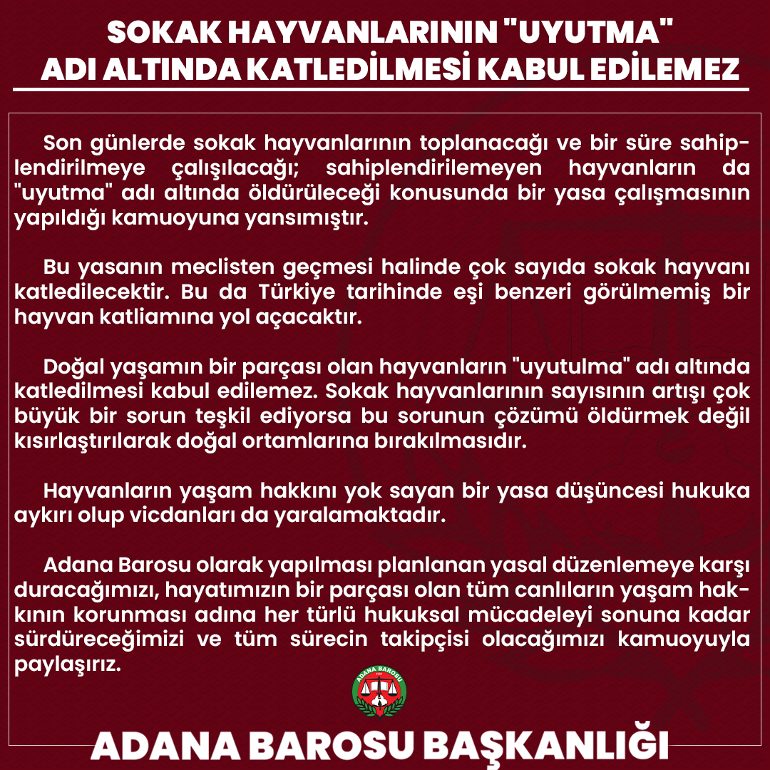 SOKAK HAYVANLARININ 