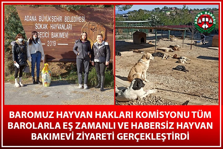 BAROMUZ HAYVAN HAKLARI KOMİSYONU TÜM BAROLARLA EŞ ZAMANLI VE HABERSİZ HAYVAN BAKIMEVİ ZİYARETİ GERÇEKLEŞTİRDİ