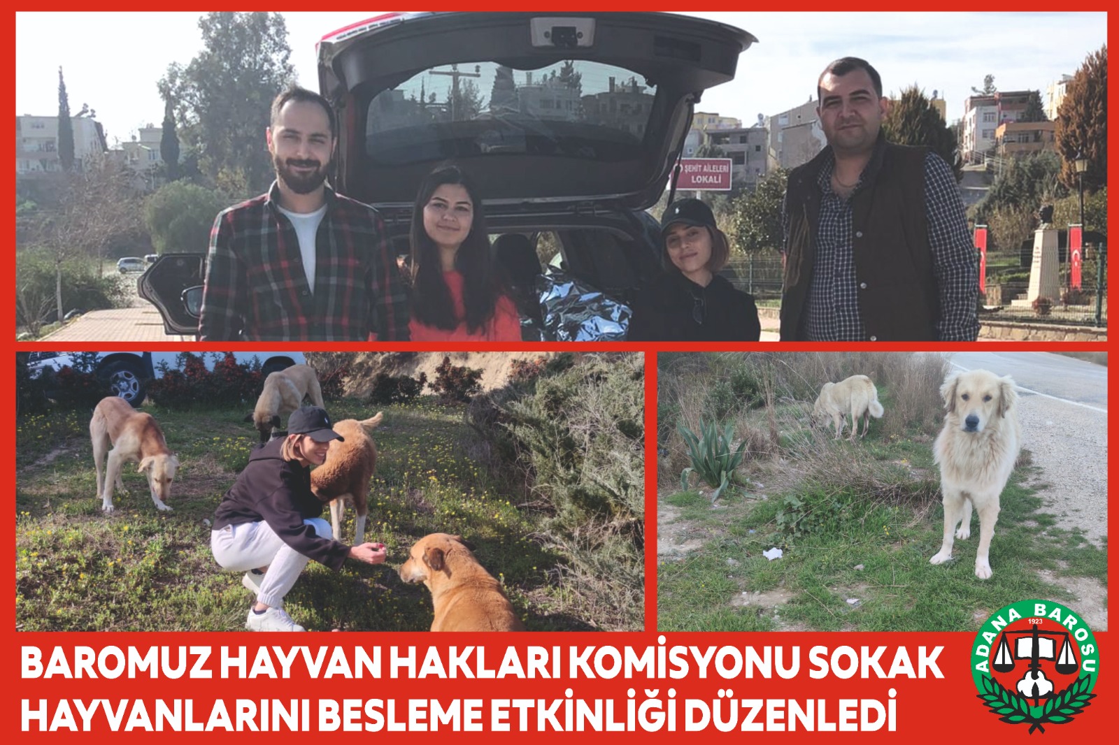 BAROMUZ HAYVAN HAKLARI KOMİSYONU SOKAK HAYVANLARINI BESLEME ETKİNLİĞİ DÜZENLEDİ